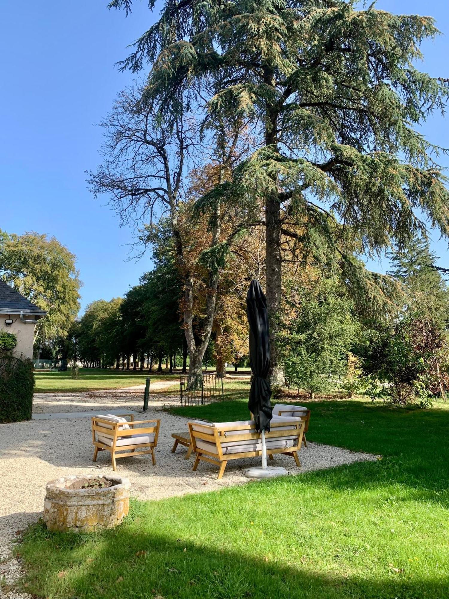 Chateau De L'Epinay - Domaine Du Marquis De Lafayette Dolus-le-Sec Екстериор снимка